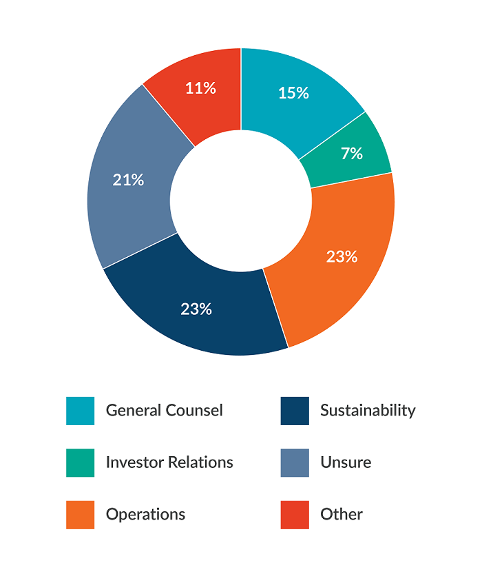 ESG responsibility by role
