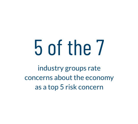 5 of the 7 industry groups rate concerns about the economy as a top 5 risk concern
