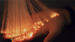 Elevate project management capabilities