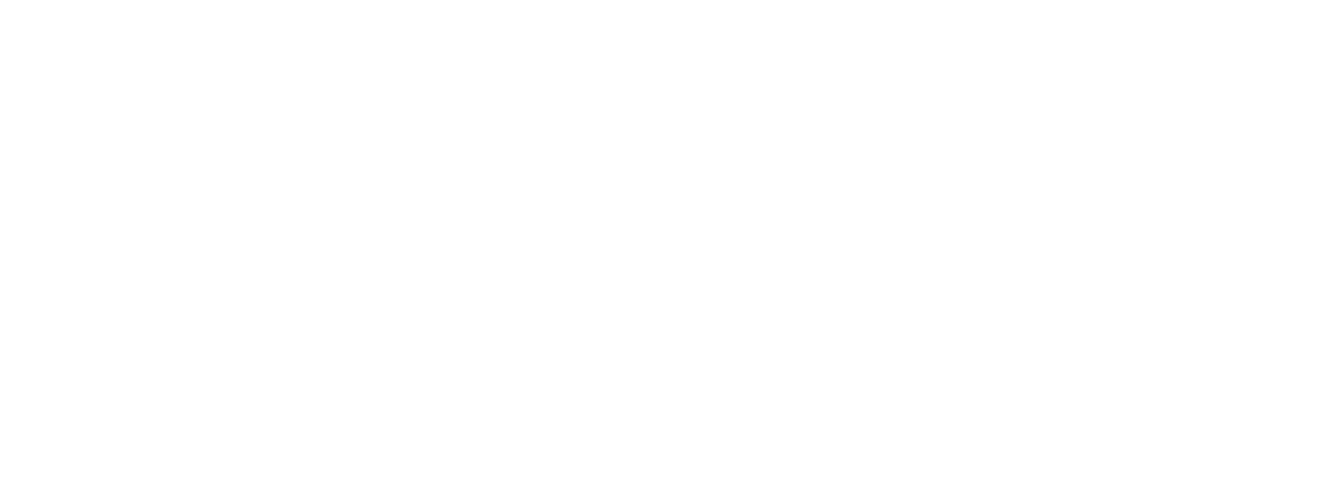 Logo Protiviti 