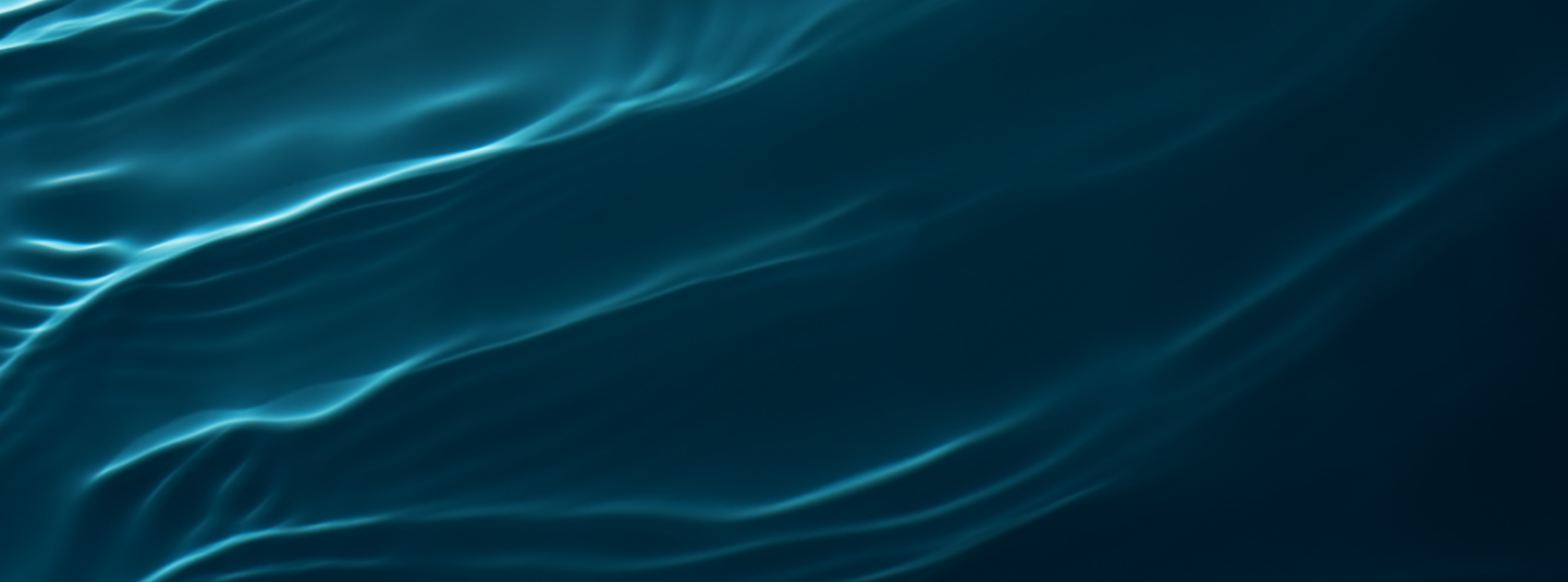 about_survey_1x_1647_x_533.png