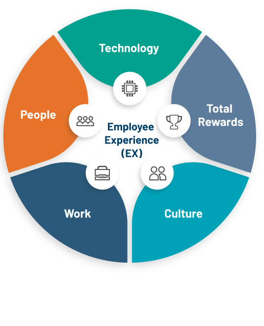 Five different factors of EX model are the work, culture, technology, total rewards and talent