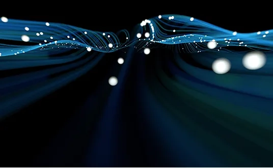 Protiviti's unique offerings