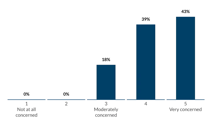 How concerned are you about the security risks (for example, breaches, data loss, improper controls, poor access management) associated with implementing innovative new technologies?