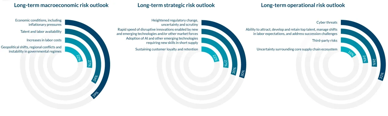 Top Risks - long term risks