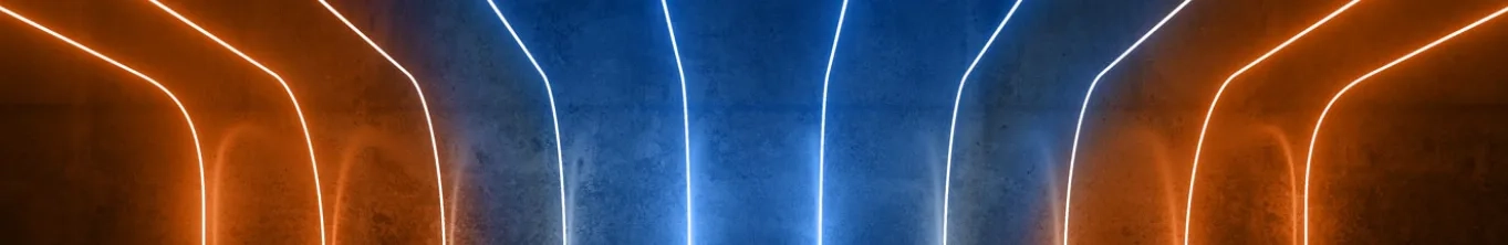 Global IT Executive Survey