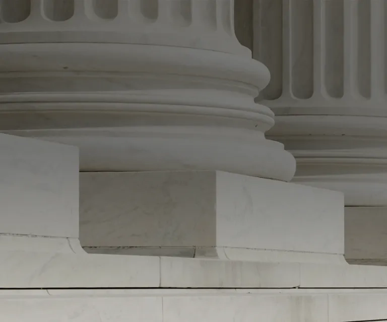 Gov Serv
