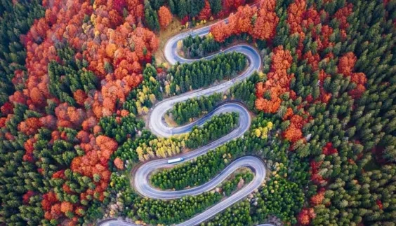 japan_business_resilience_navigator