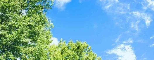 豊田通商株式会社様：DXによるコンプライアンス活動の変革事例