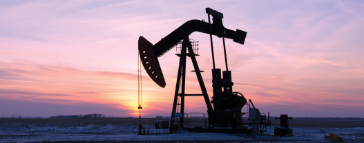 Protiviti helps global energy conglomerate complete a complex integration of an E&P target