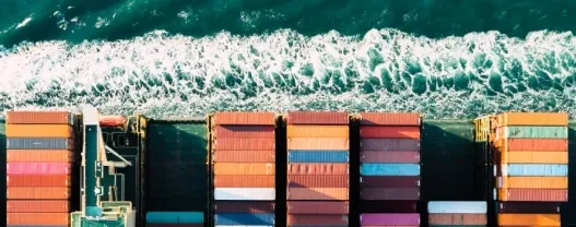 Microsoft Dynamics 365 Finance and Supply Chain Operations read only roles 