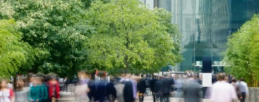 Stress Testing Credit Portfolios for Climate Risk