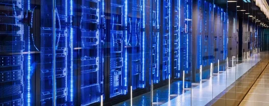 RISE WITH SAP: Transforming IT and Customer Experience