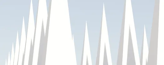 Enterprise Risk Management Assessments