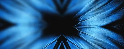 buyer-cfo-webpage-heroimage-1920x650.jpeg