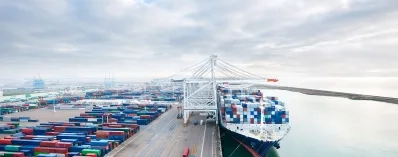 prospering-new-world-supply-chain-risk-management.jpeg