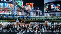 プロティビティについて詳しく知る
