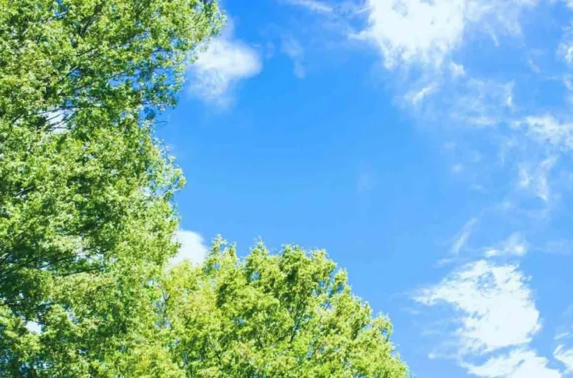 toyota_tsusho_hero_image