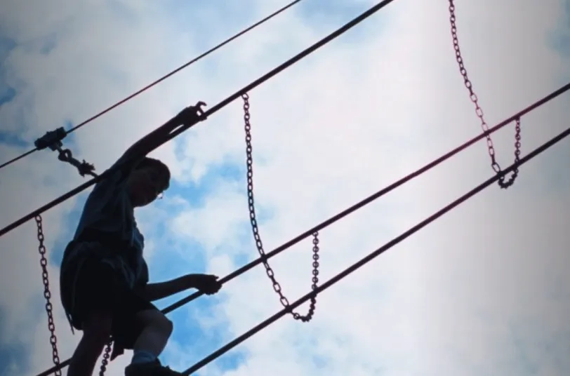 What Do Thriving Organisations Have in Common? Business Agility