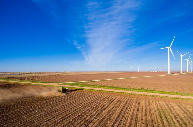 U.S. energy leader undertakes a successful divestiture through a strong program management office