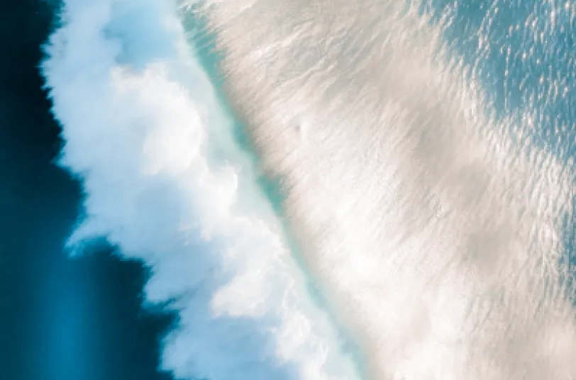 intro_image_1x_398_x_495.png